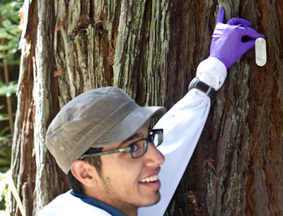 A student intern examines a small metal tree identification tag at FERP. 