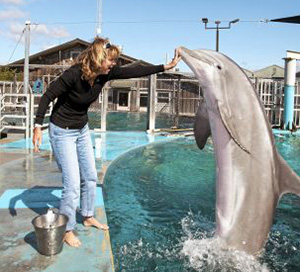 Terrie Williams with dolphin