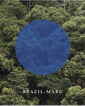 Karen Yamashita Brazil bookcover
