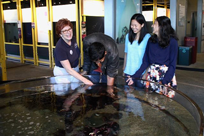 docent and visitors at shark pool