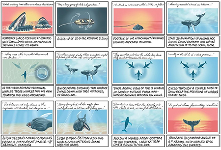 frames from a storyboard for a whale video