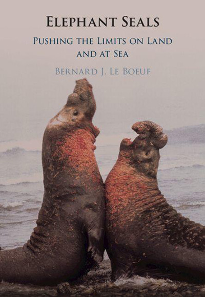 Elephant Seals book cover