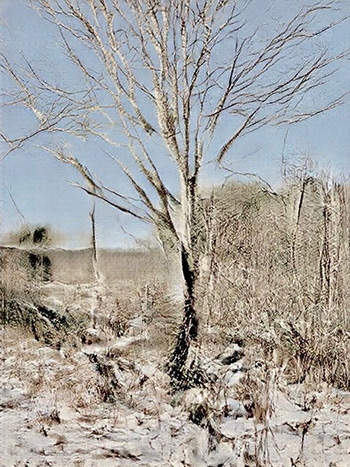 'winter woods' digital artwork