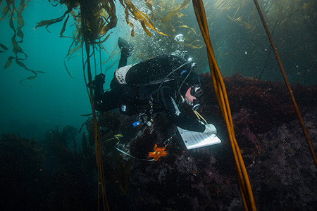 diver with an underwater notepad