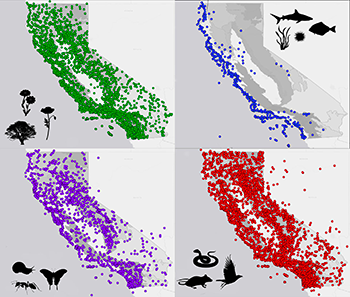 A map of California with dots to represent where species are sampled from. 