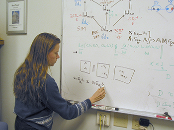 Mariëlle Stoelinga writes complex equations on a whiteboard.
