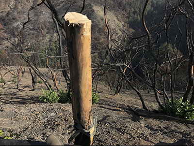 field camera on post in burned area