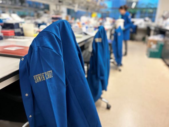 Research jackets on back of chairs