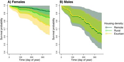 Chart of puma survival rates