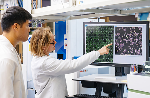 two scientists looking at images of cells