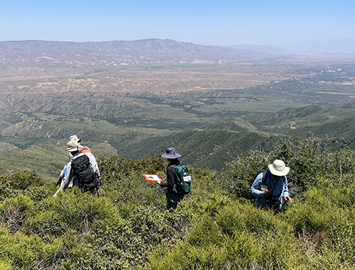 botanists surveying interior coast range