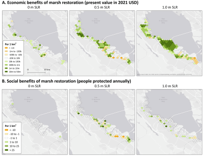 Graphic of marsh restoration's economic and social flood reduction benefits. 