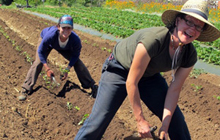 Scholarships for the next generation of organic farmers