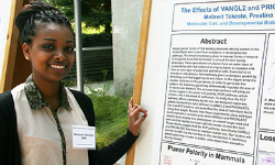 Undergraduates exhibit summer research projects