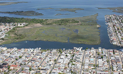 Coastal wetlands cut hurricane property losses 
