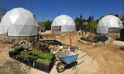 'Future Garden' exhibit anticipates climate change