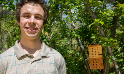 Undergraduate builds handcrafted bee hotels 