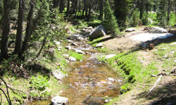 Climate change threatens small mountain streams