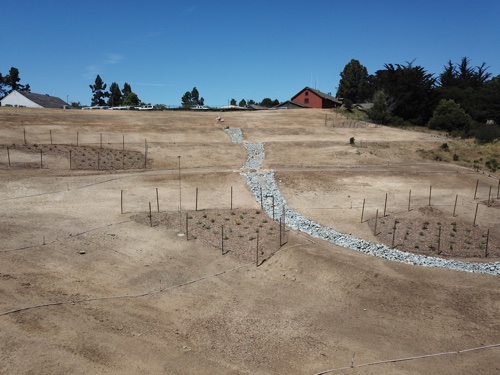 New bioretention basins