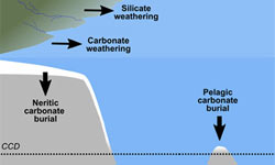 Sediments reveal climate's role in carbon cycle