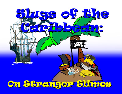 slugs-caribbean-400.jpg