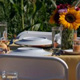 farm-to-fork.tables-80.jpg