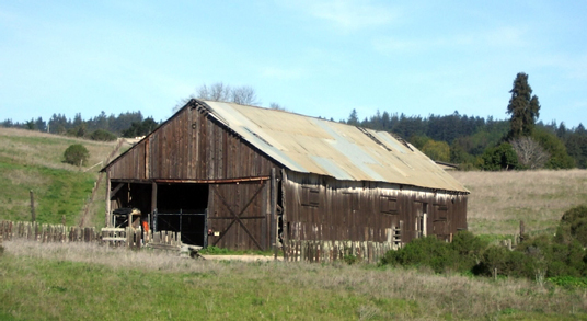 Cowell Ranch hay barn 