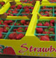 org_strawberries.80.jpg