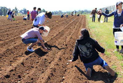 students working the fields