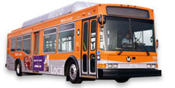 bus-250.jpg