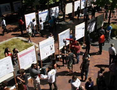 people viewing poster presentations in courtyard