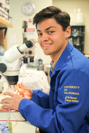 Hector Navarro, a 19-year-old Cowell College student majoring in molecular, cell and devel
