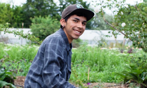 Students receive Global Food Initiative fellowships 