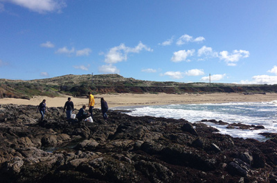 researchers working in rocky intertidal zone