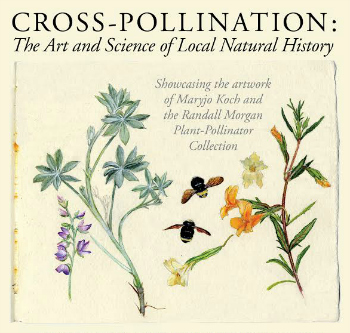 cross pollination poster