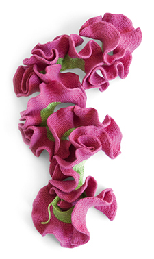 Hyperbolic crochet model by Anitra Menning © Institute For Figuring © Institute For Figu