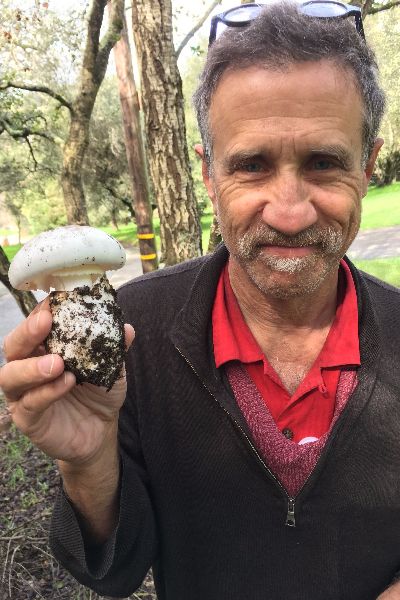 When a family of six fell ill after accidentally eating death cap mushrooms in 2007, alumn