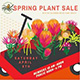 spring-sale-thumb.jpg