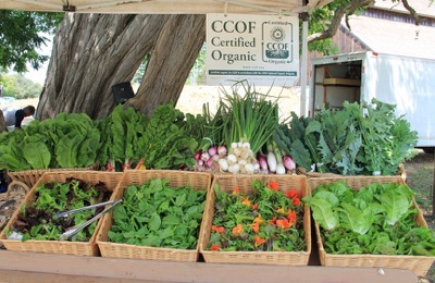 Photo of produce for sale at the Market Cart