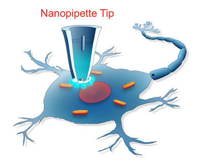 cartoon of cell and nanopipette