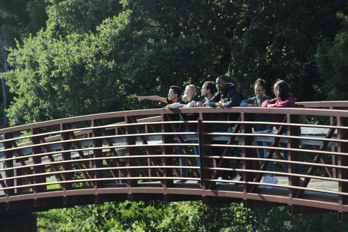 Students on bridge