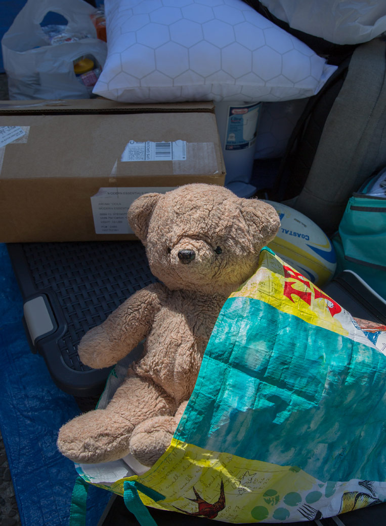 Move-in teddy in the bag