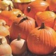pumpkins_80.jpg