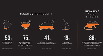 graphic representation of island species
