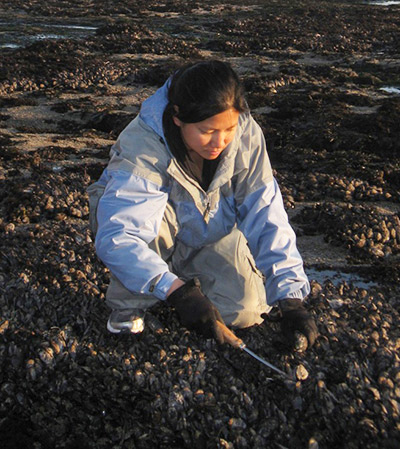 collecting mussels for testing