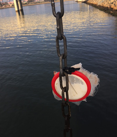 SPATT sampler hanging over water