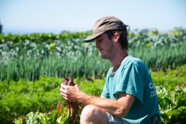 Photo of apprentice working on the UCSC Farm