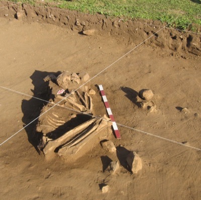 Photo of human bones under excavation