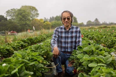 Joji Muramoto in a field of strawberries at the UCSC Farm