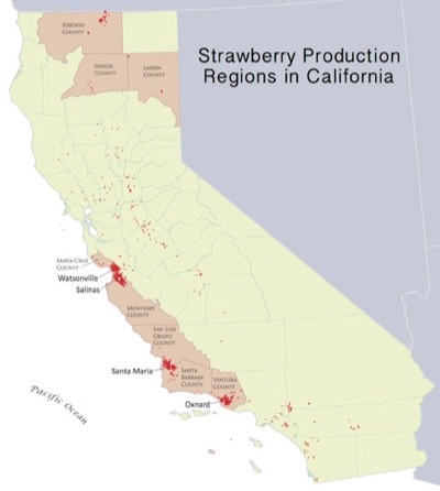 Map of strawberry production areas in California